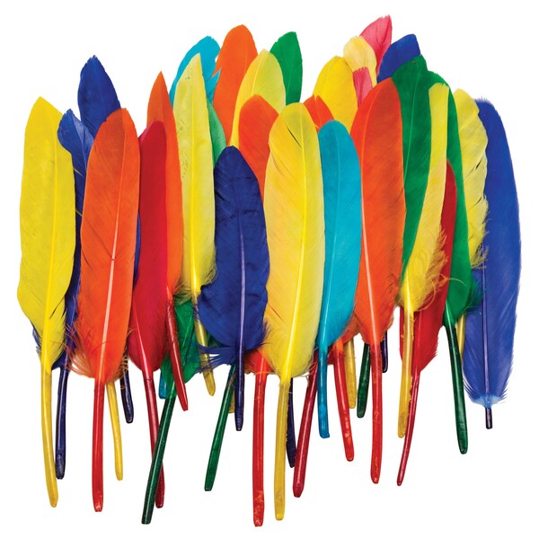 Creativity Street Duck Quills, Assorted Colors, 3in to 5in, 14 grams Per Pack, PK6 PAC4505 - main